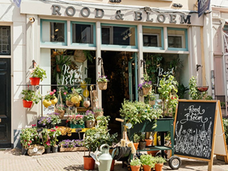 rood & bloem.jpg
